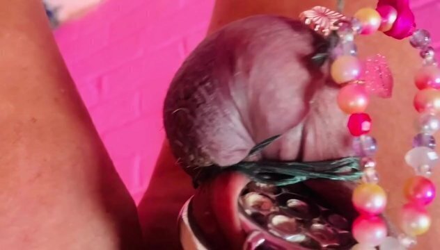 intel ball weight trauma living outdoor pigsty sheds angel Scarlett black