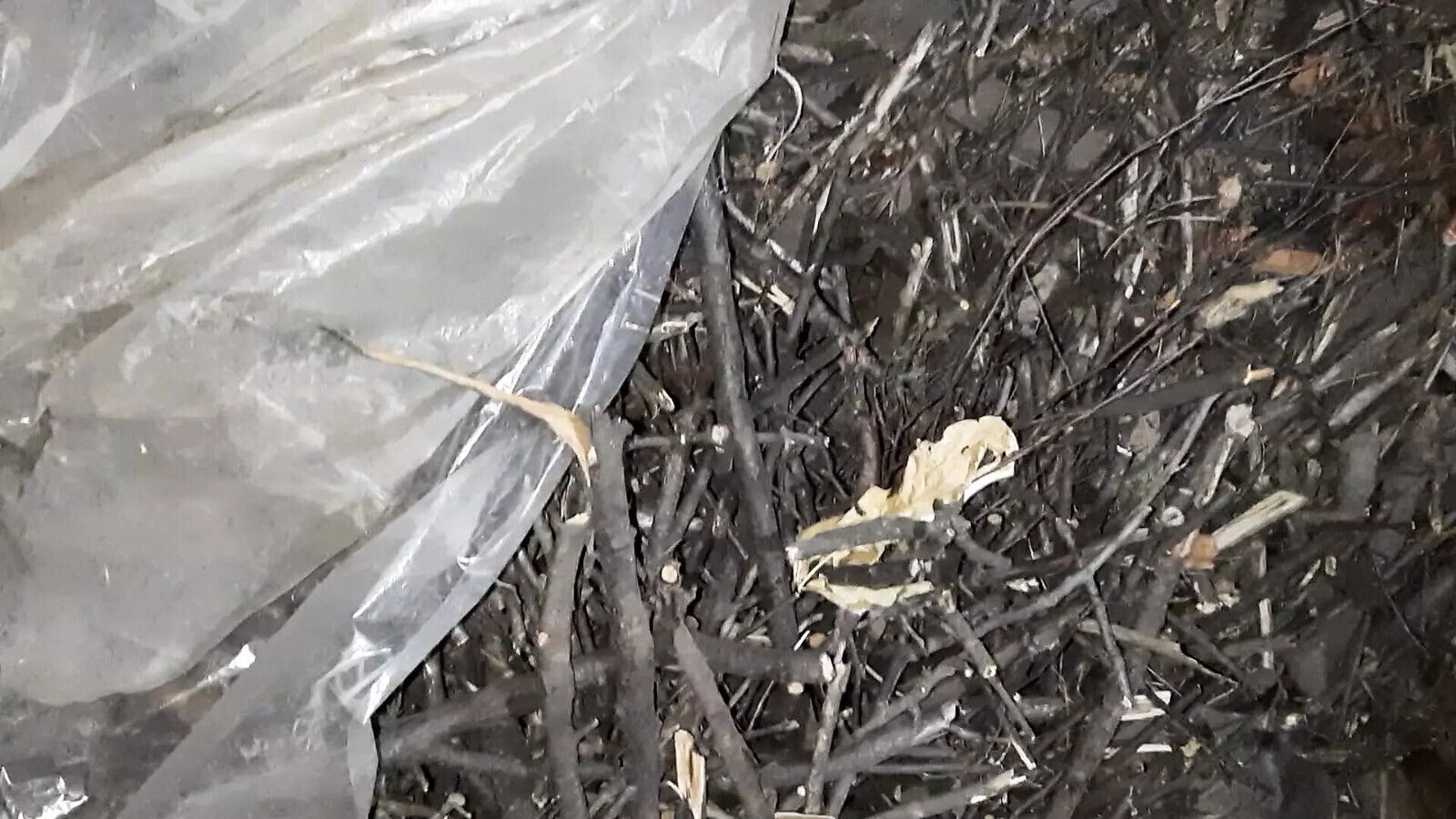 Village Hide From Everyone Lesbians