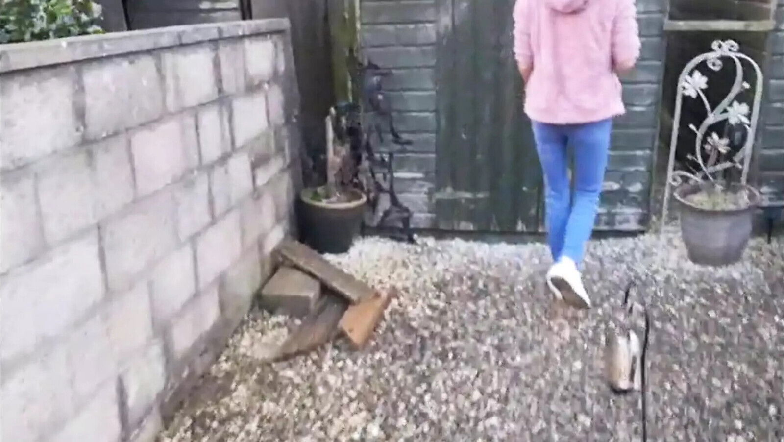 Vlog Walk Scottish Park