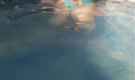 My hot stepaunt let'_s me fuck her