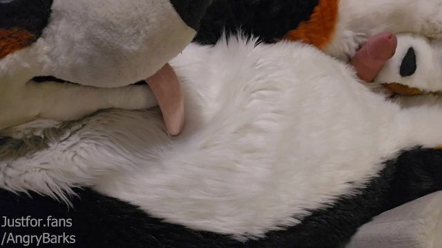 Watch Slut @AngryBarks Hard Fuck Feet Paws until Cums Fuzzy Belly