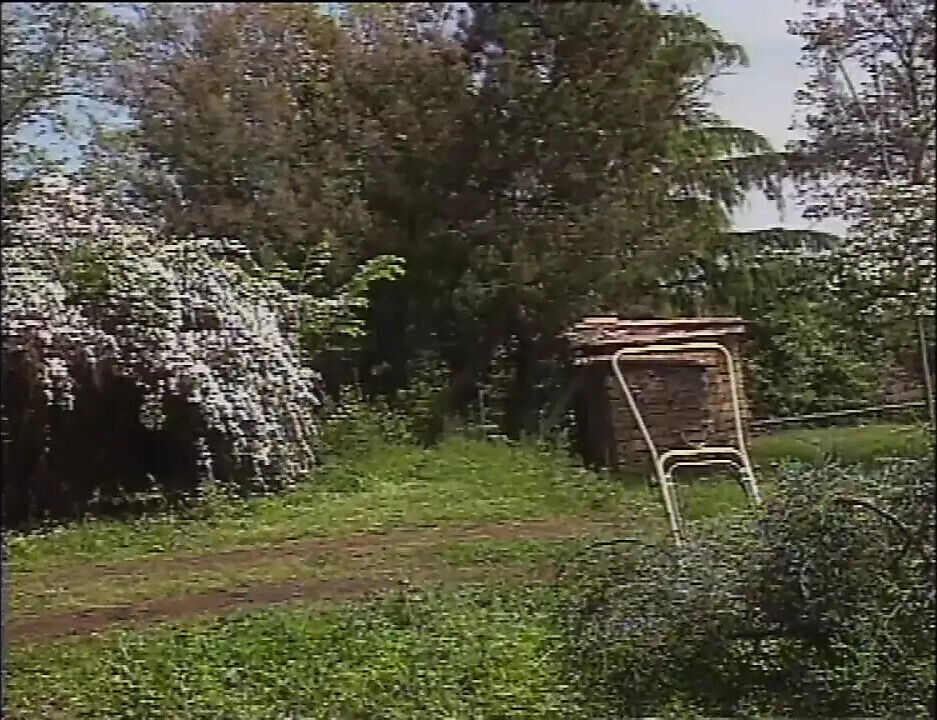 Assicuratrice Cazzi scene