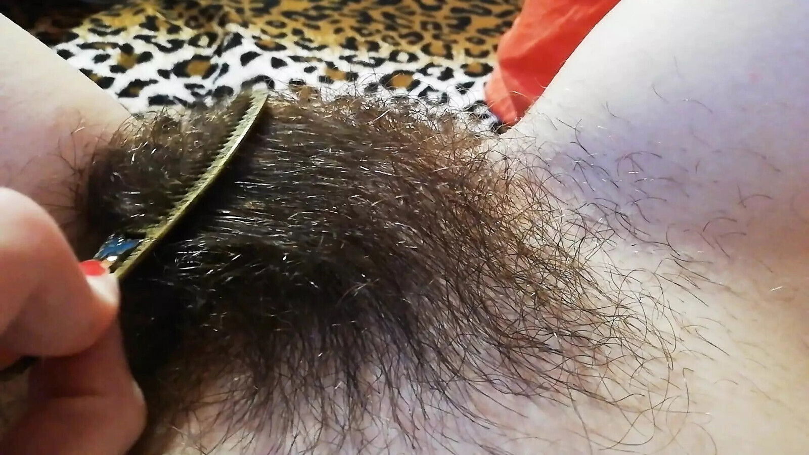 Hairy pussy fetish brushing bush closeup