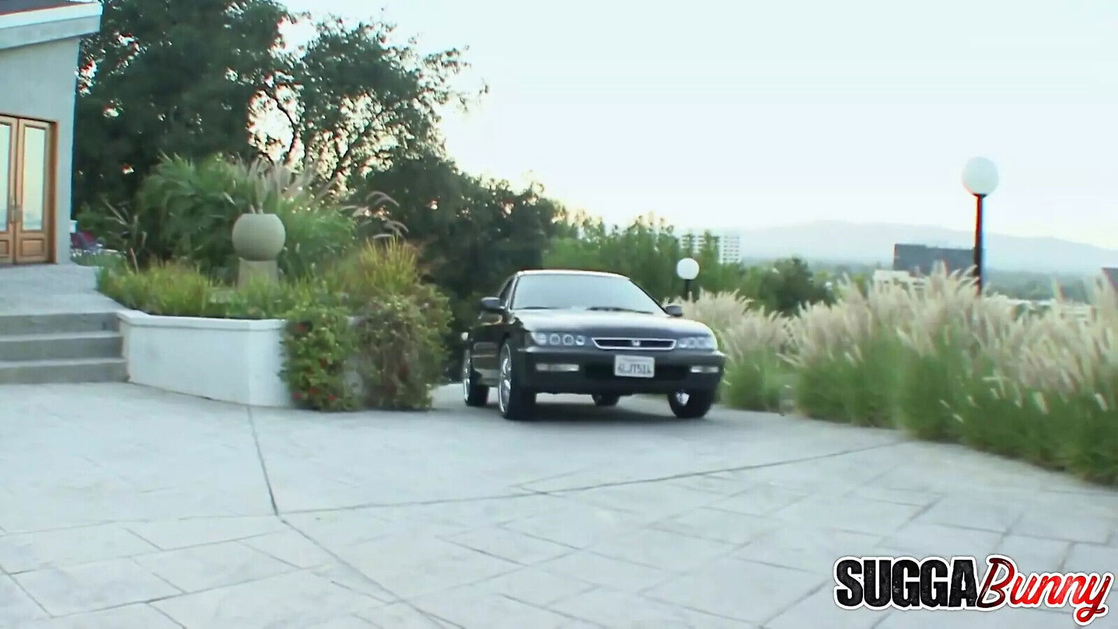 Anita D'vae Share Black