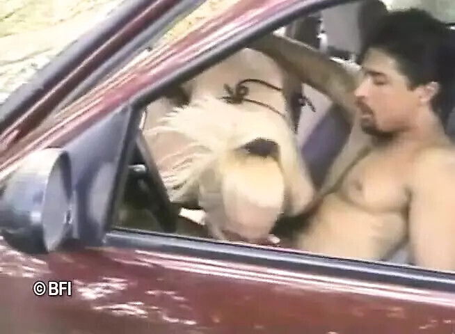 Brasil trans passion