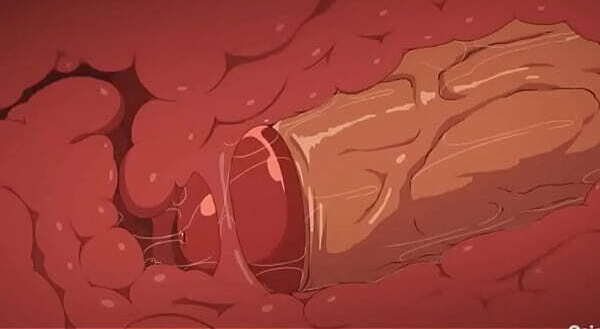 Kiribaku fuck full video