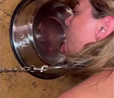 TORTURA HUMILLACI&Oacute_N SADO AZOTES PERRA TRATADA PORNOGRAFICAMENTE COMO MERECE NIVEL DIOS