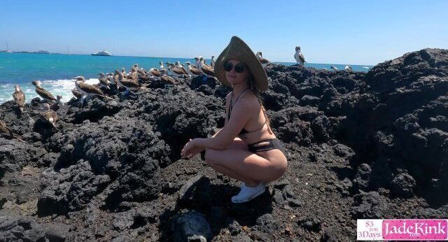 Amateur thick sexy girlfriend boyfriend having public beach while vacation