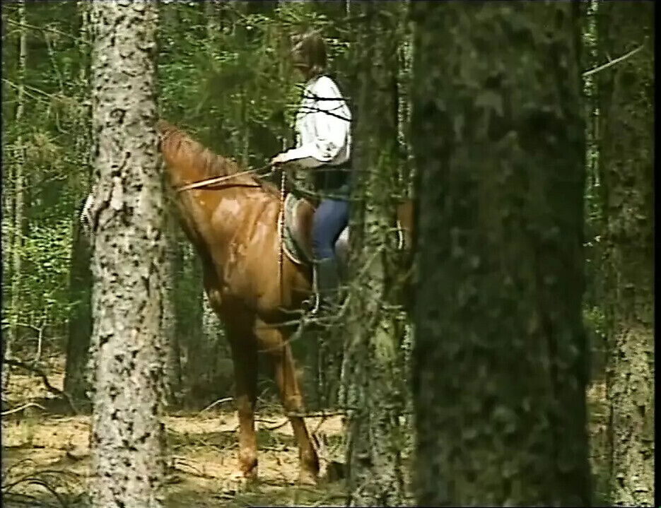 VIZI CAPITALI (Full Movie)