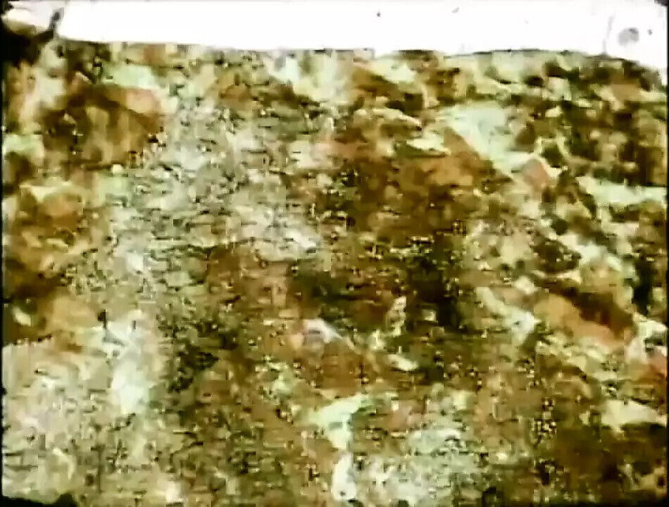 BABES YESTERYEAR Full Vintage Movie