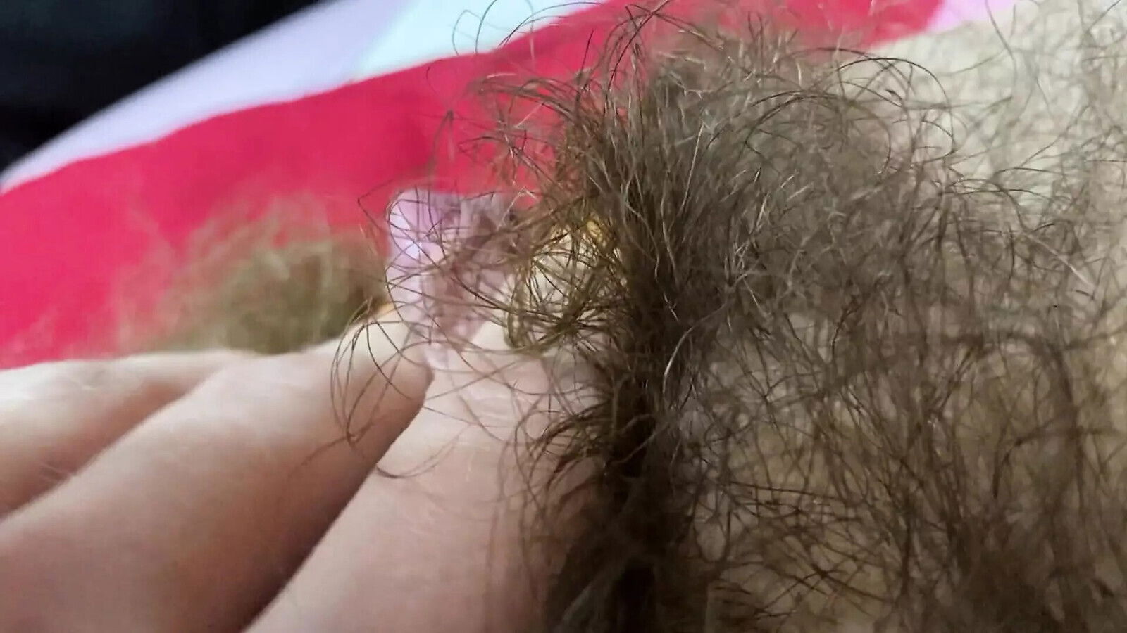 Pulsating clitoris orgasm closeup hairy pussy