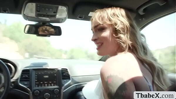 Shemale hitchhiker fucked driver