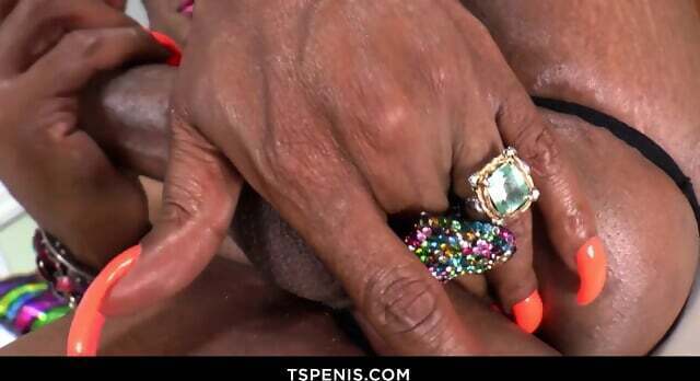 Tattooed T-Girl Holly Hung's Sensual Show