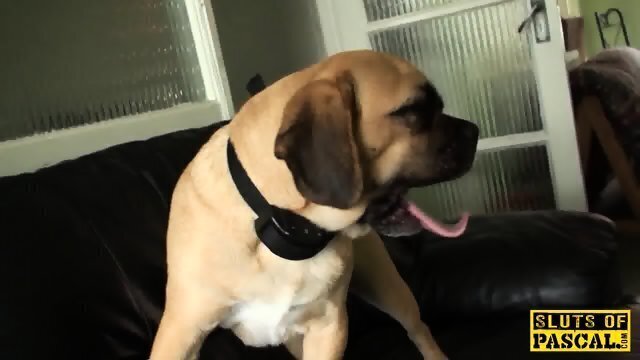 Inked brit Roxy slapped cuckold