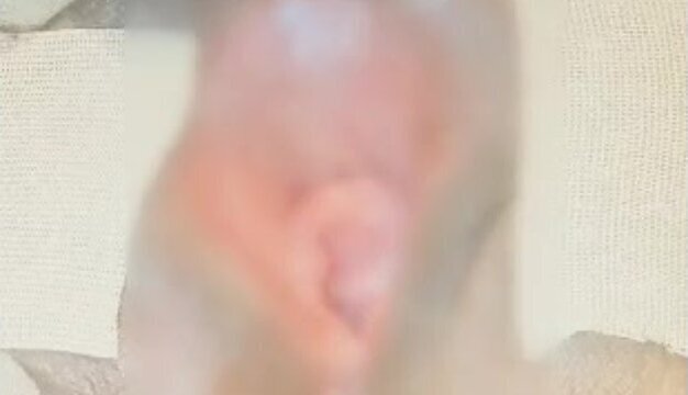 played around with electric massagers, vibrators, electricity, piercing, lots more.