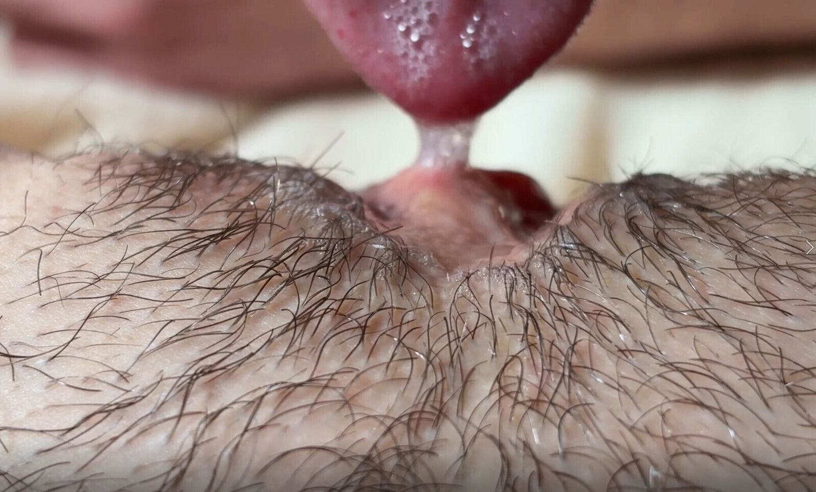 NEVER! Never kiss PUSSY. It's addictive.