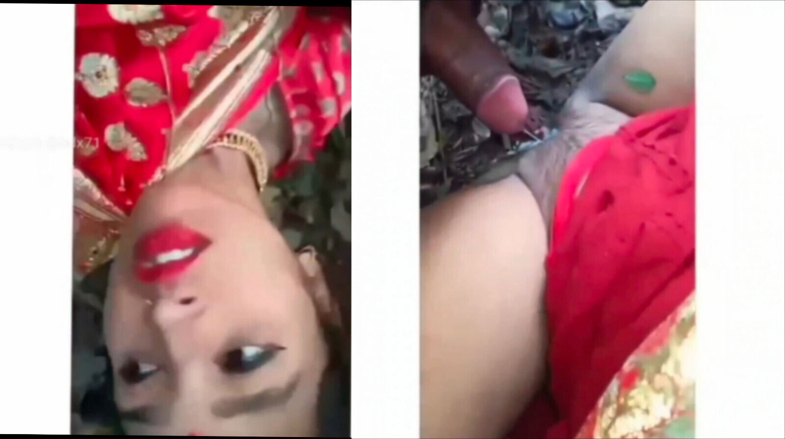 Indian jungle compilation