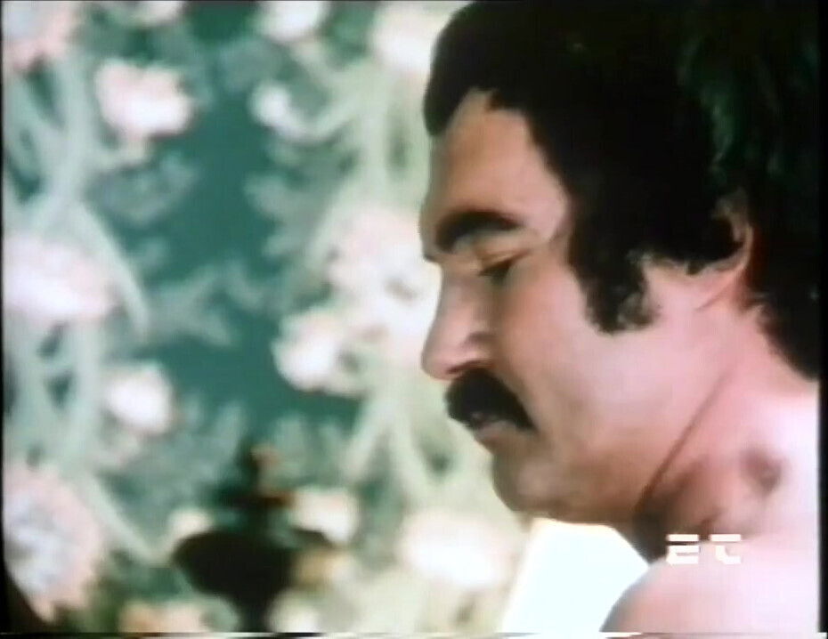 Sexy MILF Secretary with Nice Hairy Pussy Fucked Cummed Vintage