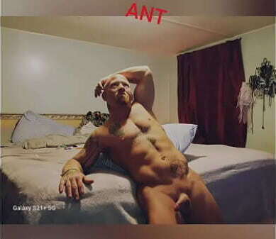 Antmiech update YouCut 20250228 021022559