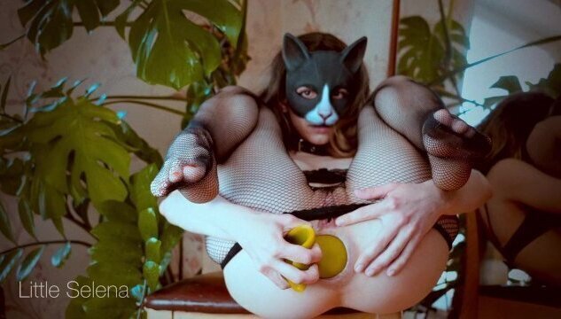 like kitties with stretched butt?