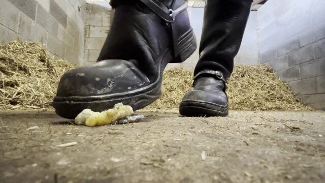 Riding boot sweet crush. giantess, boot worship