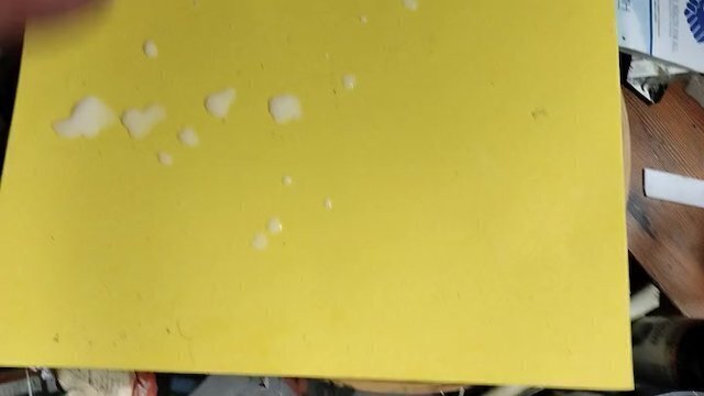 project demonstration