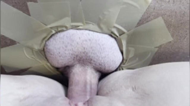 Head Nurse Gets Bred Breeding Clinic's GloryHole. Trailer