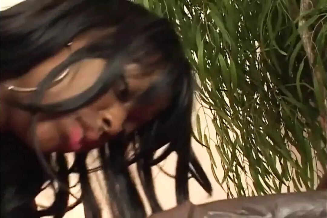 THIS BLACK DICK Full Vintage Movie