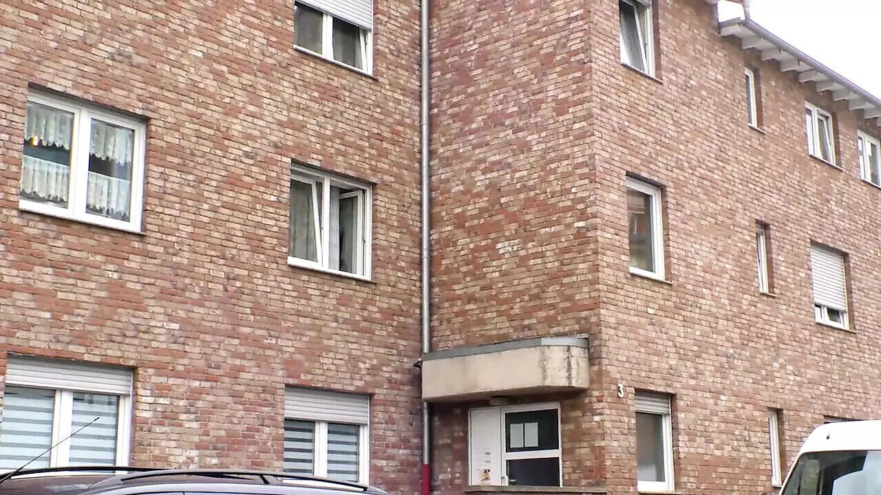 MIETSCHLAMPEN Full Movie