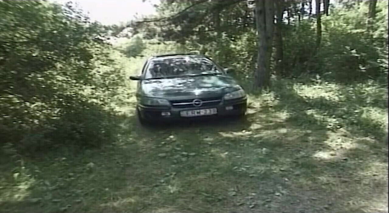 Hairy pussy fucking forest