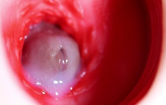 Nice head slides inside best friend's sweet shiny hole!