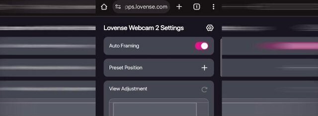 Lovense Webcam Review model Advice