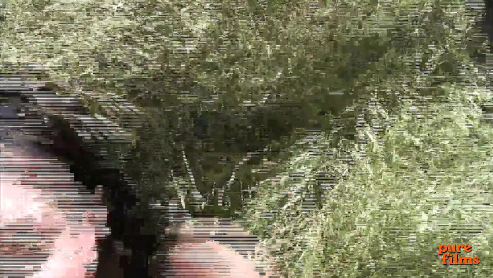 Fucking horny black stepdaughter