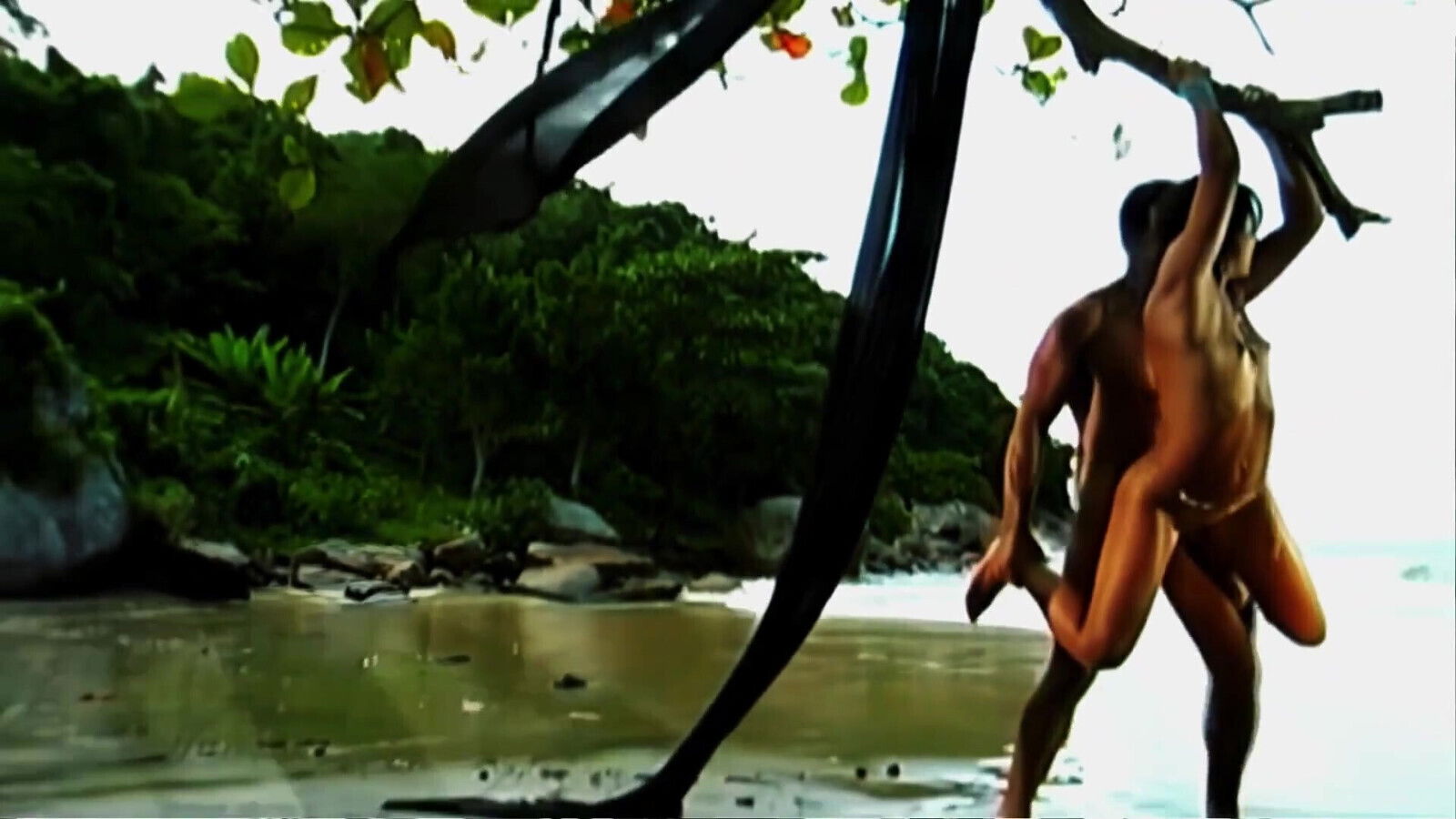 This Brown Hole Loves Tropical Islands