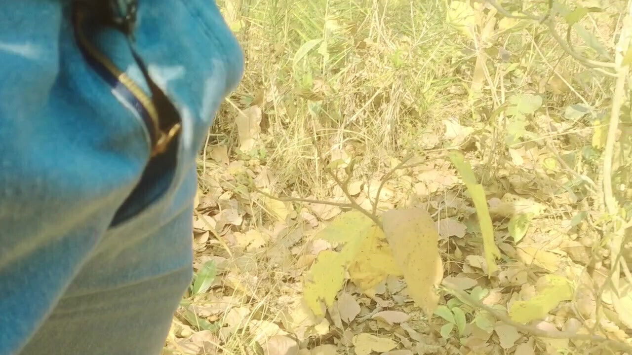 Forest Masterbeson shot