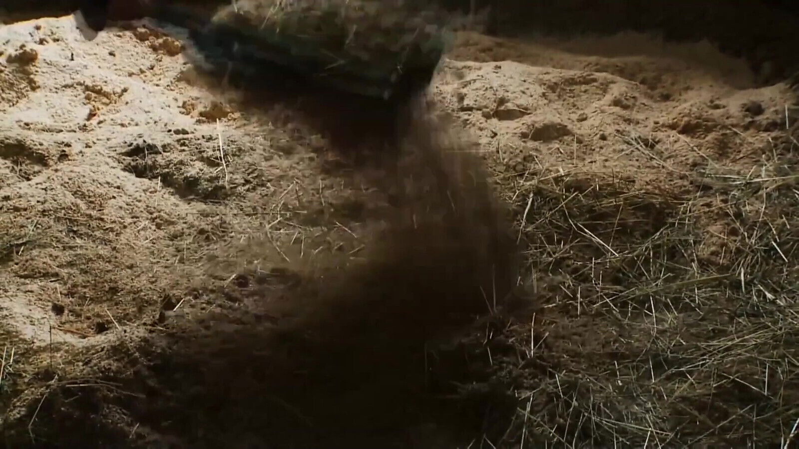 Tera Seduced Stylish Stud Takes Every Inch