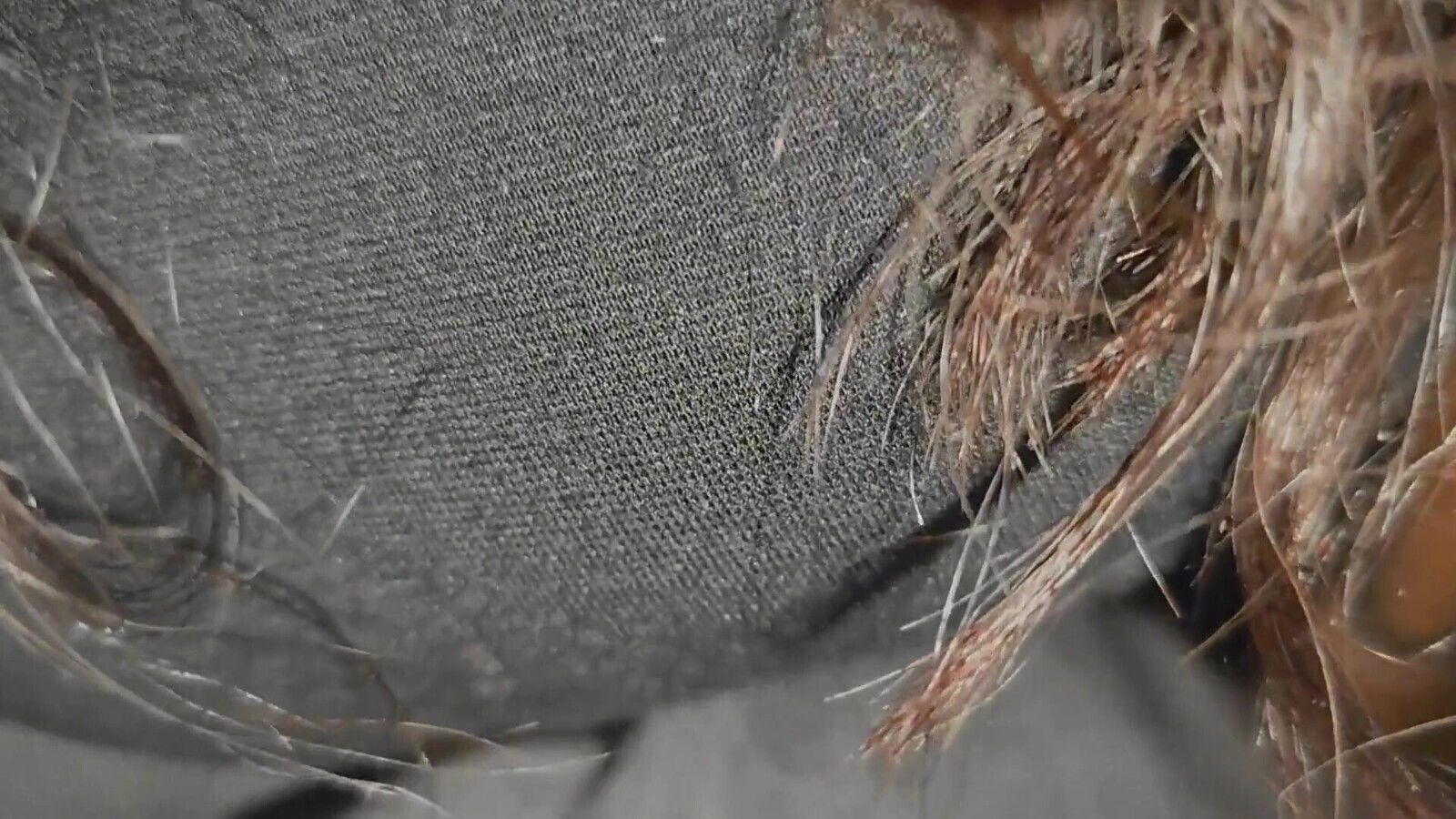 Going with Friend Fuck Room Middle Party