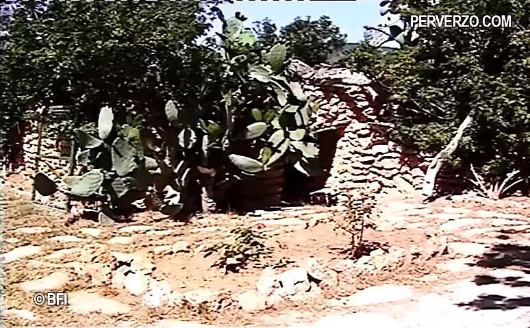 nasty MILFs have kinky with strapon