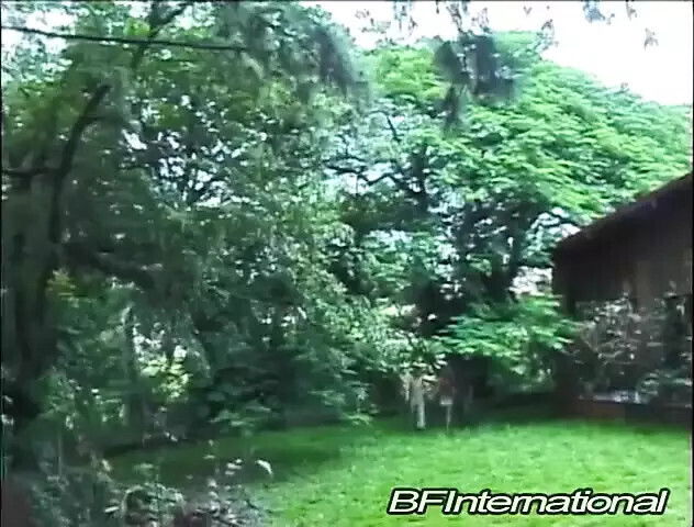 Bisexual bangs forest.