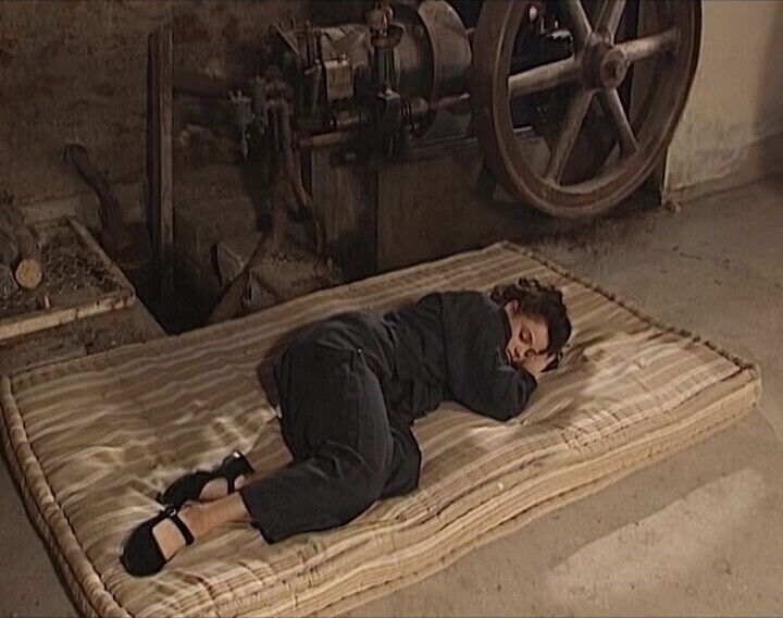 boobed German sluts tied fucked hard orgy action