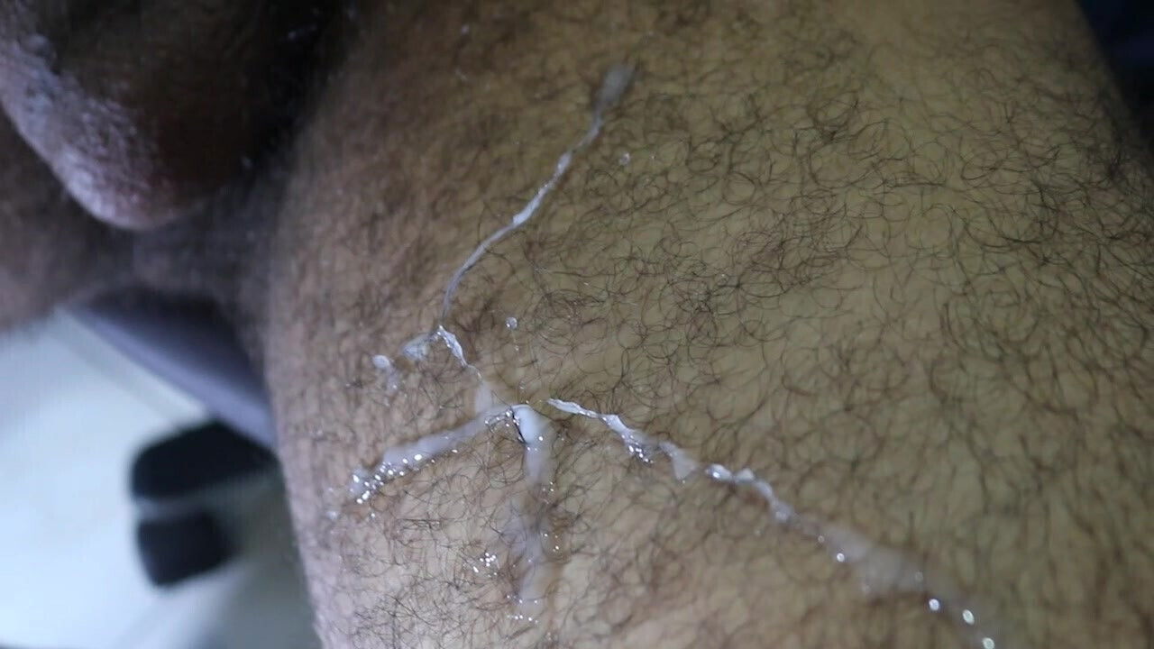 Stallion runs hairy legs