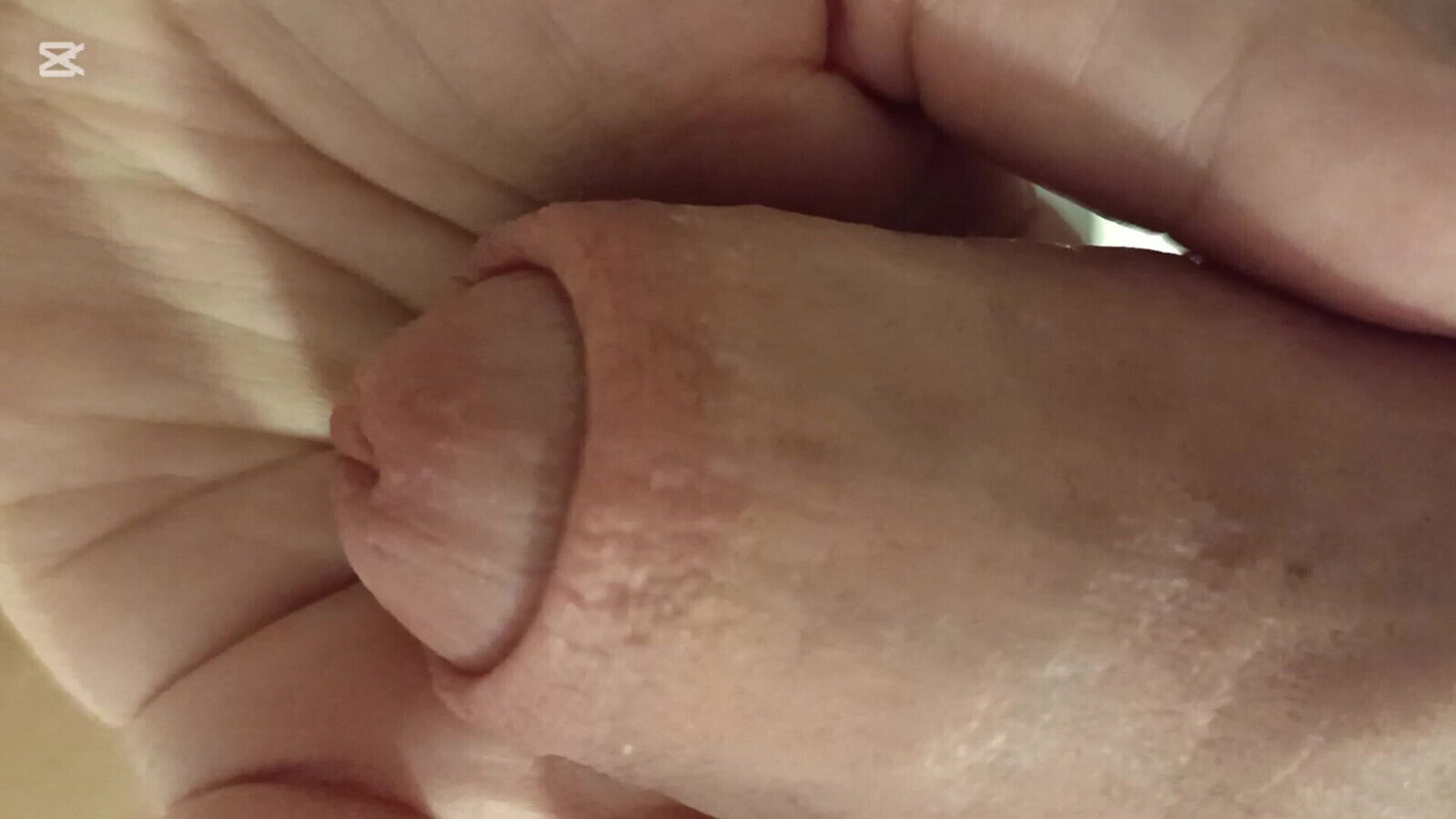 Thick stick.. very thick penis.