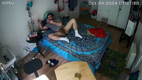 Lextalon update 1728022862930