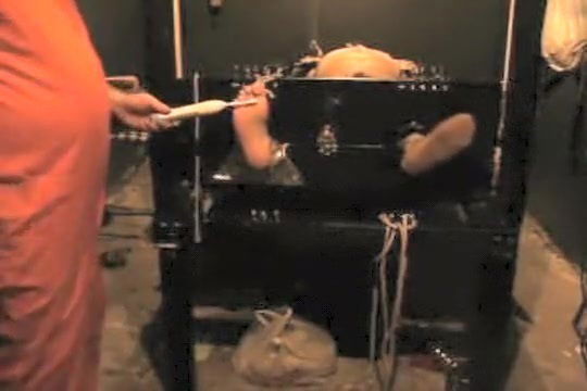 Leather Bear Captured