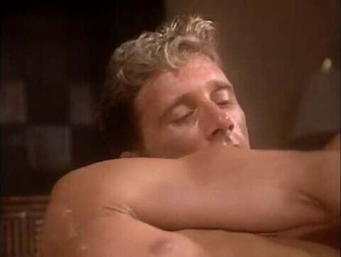 Sean Davis Basic Plumbing Mexican