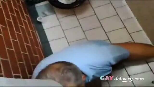 Amateur Bear Returns