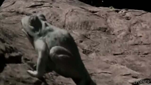 Busty Lesbians Beach