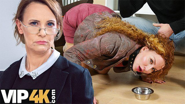 TUTOR4K. Strict Russian teachers.