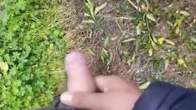 Sega bosco sotto occhi