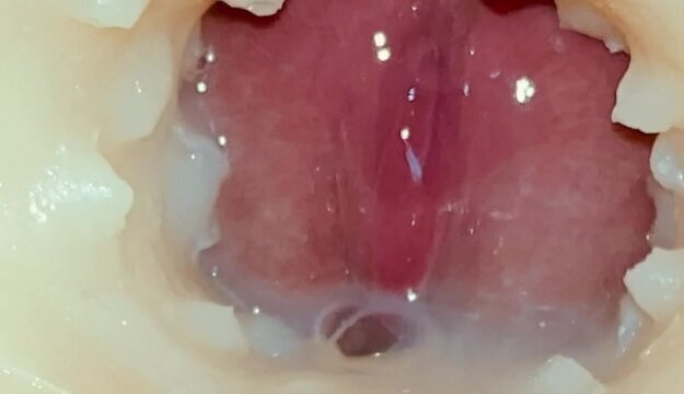 Explosive Orgasm: Fucking Tight Pussy Doll Cumming Inside with Internal Camera